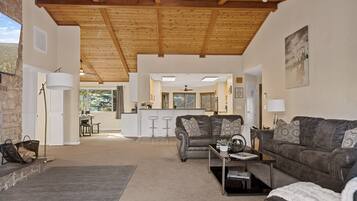 Télévision, cheminée, livres