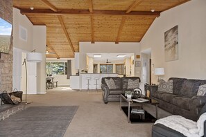 TV, fireplace, books