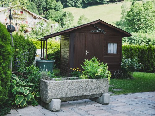 Chalet Carina next ski slope