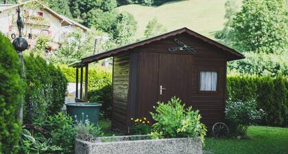 Chalet Carina next ski slope