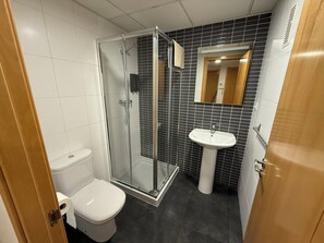 Shower, hair dryer, bidet, towels