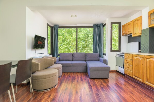 TV, fireplace