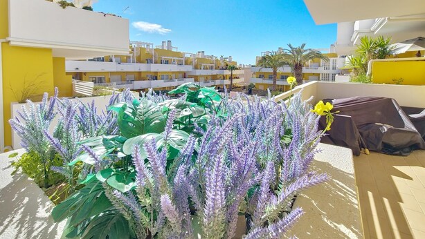 Un balcon agrémenté de plantes de lavande en pot, un mur jaune et une vue sur un quartier résidentiel.