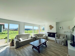 Smart TV, fireplace, books