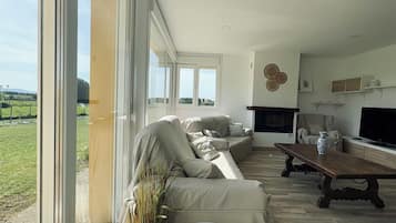 Smart TV, chimenea y libros
