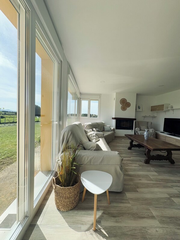 Smart TV, fireplace, books