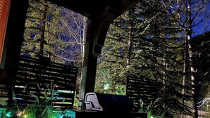 A covered outdoor area with a directional sign, surrounded by trees and illuminated plants.
