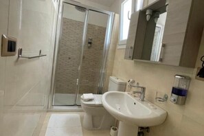Shower, hair dryer, bidet, towels