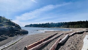 Une plage rocheuse parsemée de bois flotté, bordée d’une côte boisée.