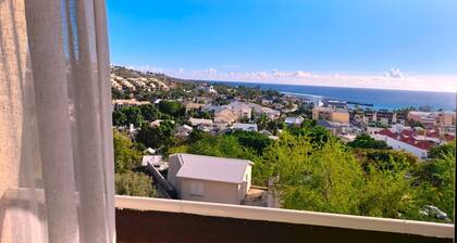 Vacation home 5 minutes walk from Roches Noires beach in St Gilles-ville
