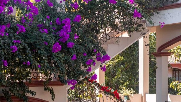 A multi-level outdoor staircase with wrought iron railings, surrounded by lush greenery and vibrant purple bougainvillea flowers. - Hotel Plaza YatBalam (Copan Ruinas)