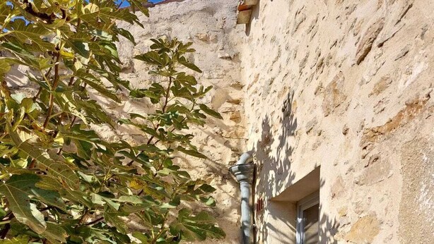 Un bâtiment en pierre doté d’une porte et d’une fenêtre, entouré d’un arbre aux feuilles vertes.