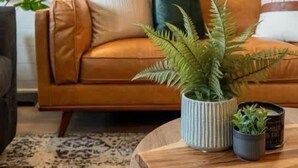 A cozy living room with a brown leather sofa, a black floor lamp, and a variety of framed botanical prints on the wall.