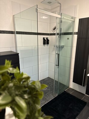 Shower, hair dryer, towels, soap