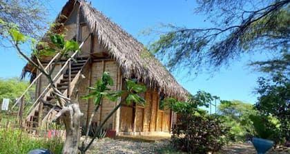 Welcoming cabin with WiFi in vibrant MĂĄncora