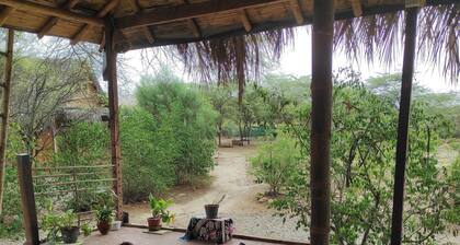 Welcoming cabin with WiFi in vibrant Máncora