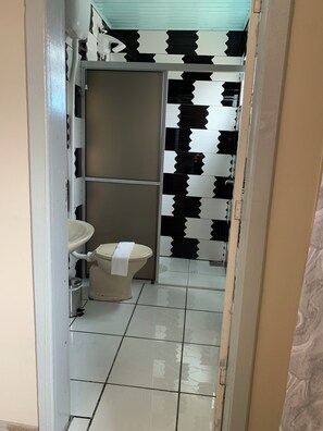 Ducha, secador de pelo, toallas, jabón