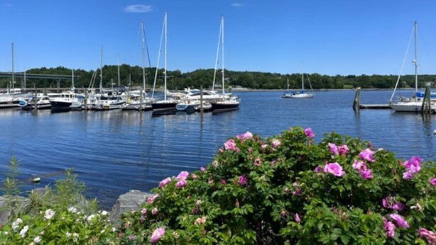 Un port de plaisance où sont amarrés des voiliers, entouré de verdure et de fleurs.