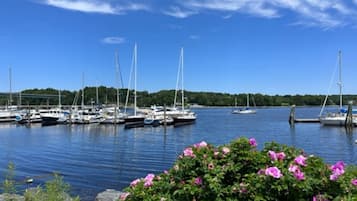 Un port de plaisance où sont amarrés des voiliers, entouré de verdure et de fleurs.