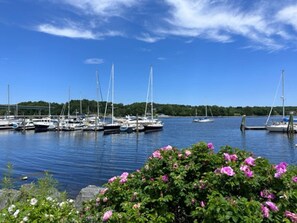A marina with sailboats docked, surrounded by greenery and flowers.