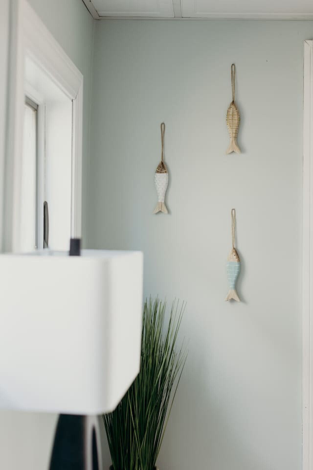 A room with a white door, a white wall, and a potted plant with long green leaves.