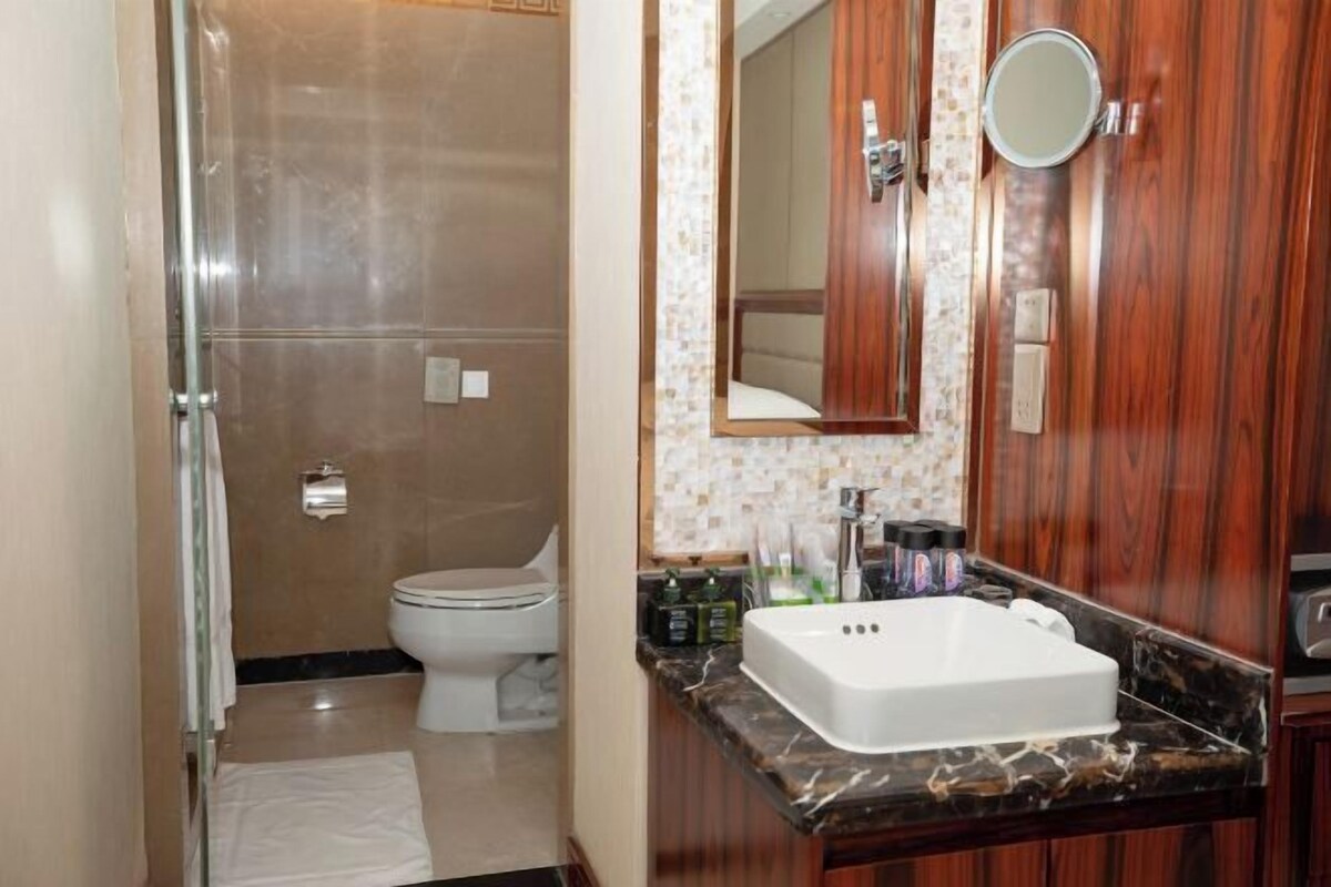 A bathroom with a shower, toilet, vanity with a sink, and a mirror.