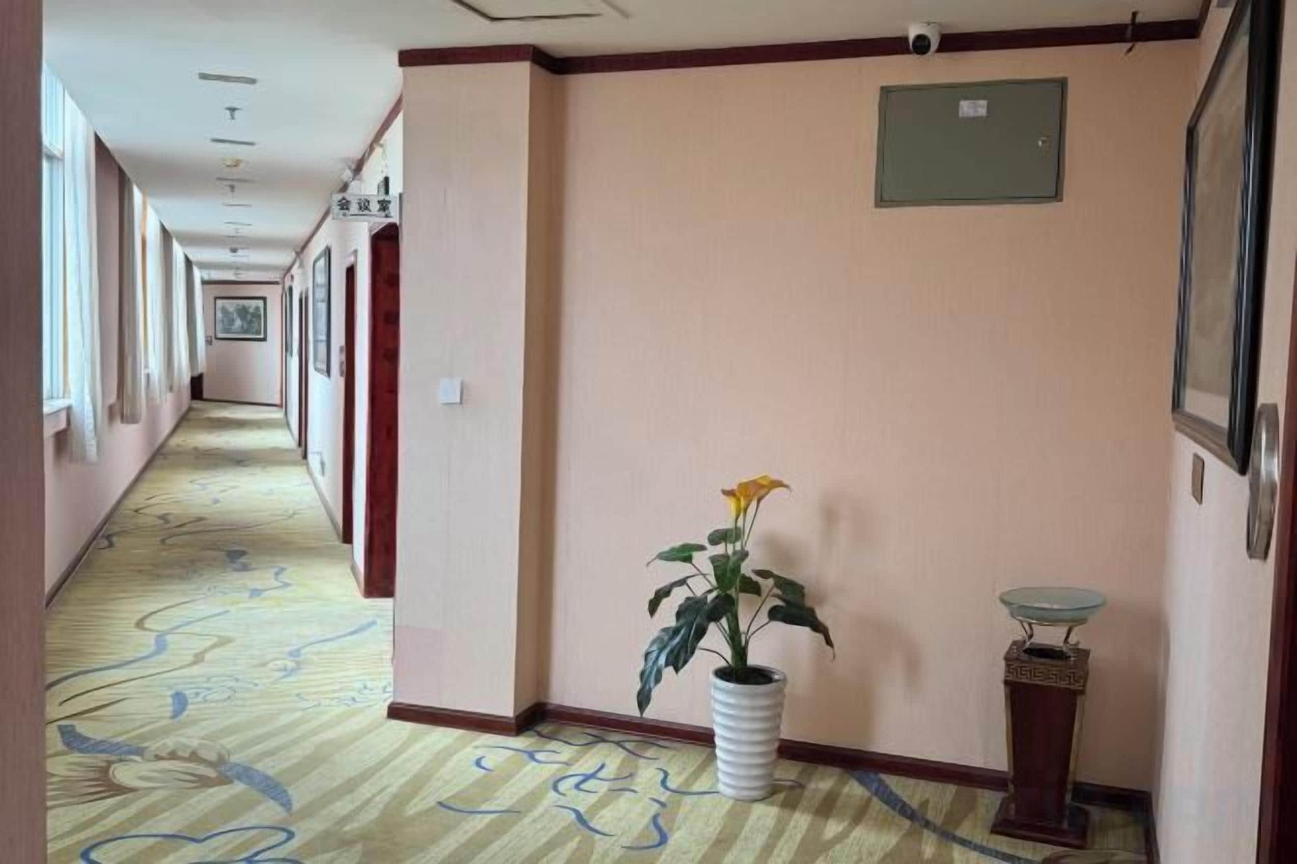 Un couloir d’hôtel avec un tapis à motifs, une plante en pot, une petite table et des tableaux encadrés accrochés aux murs.