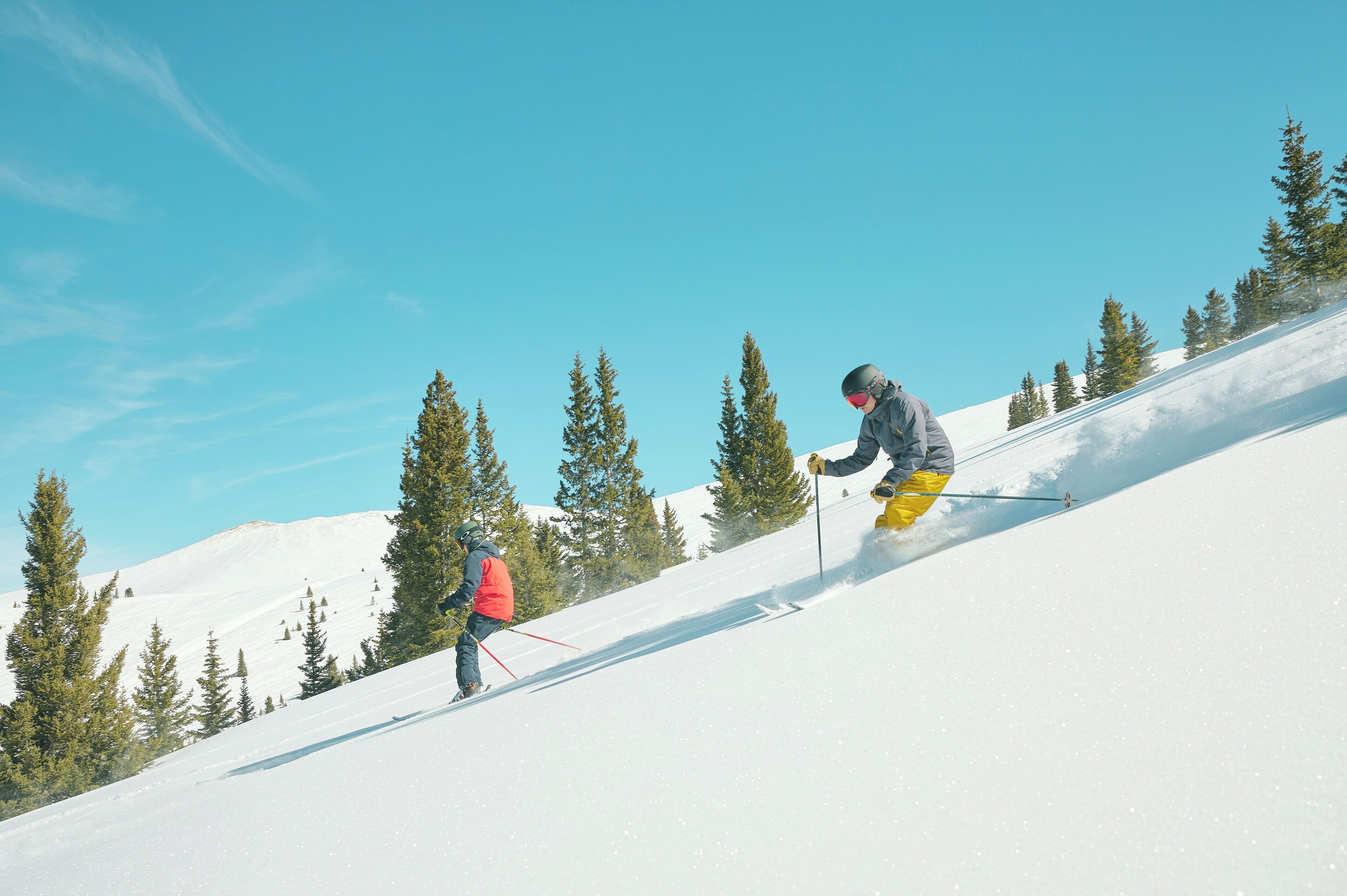 Eine Skipiste mit Bäumen und blauem Himmel.