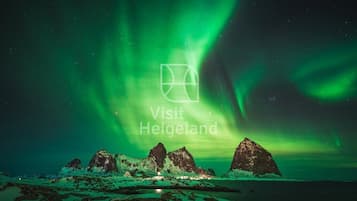 A night view of a coastal landscape with aurora borealis, featuring a prominent rock formation and a lit-up building.