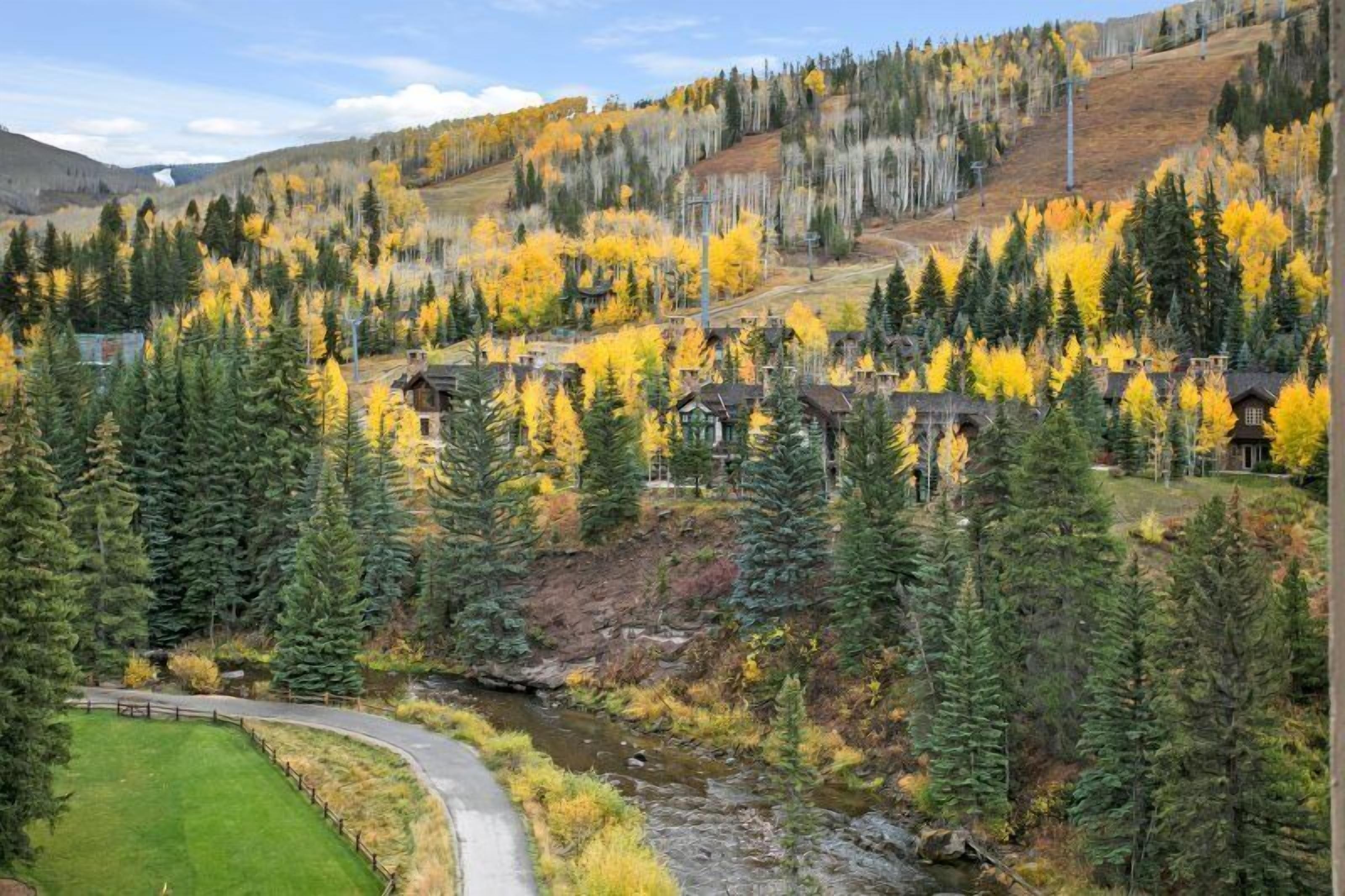 A mountainous area with a road curving through it, surrounded by dense forests and houses.