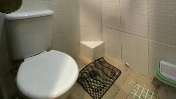 Shower, towels, soap, toilet paper