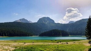 Miscellaneous - Durmitor VIP Apartment in Žabljak with mountain view (Žabljak)