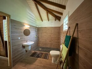 Shower, towels, soap, toilet paper