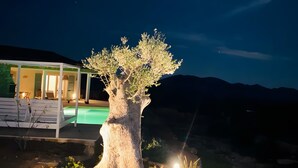 A tree illuminated at night with a pool and lounge chairs in the background. - Villa 'Es Rafal De Baix' with Sea View, Wi-Fi and Air Conditioning (Son Servera)