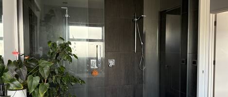 Shower, hair dryer, towels, soap