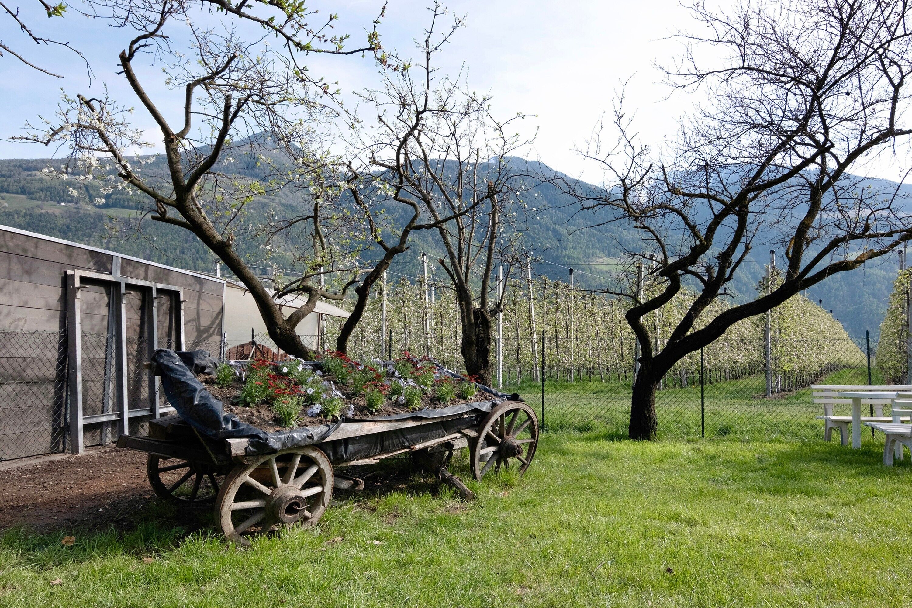 Áreas de la propiedad