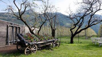 Áreas de la propiedad