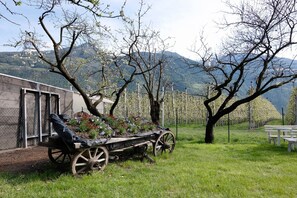 Property grounds - Apartment 'Lea' with Mountain View, Wi-Fi and Air Conditioning (Ciardes)