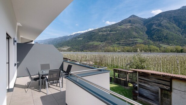 Un balcone con tavolo e sedie, vista su un vigneto e montagne.