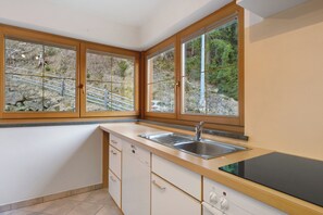 Fridge, oven, stovetop, dishwasher