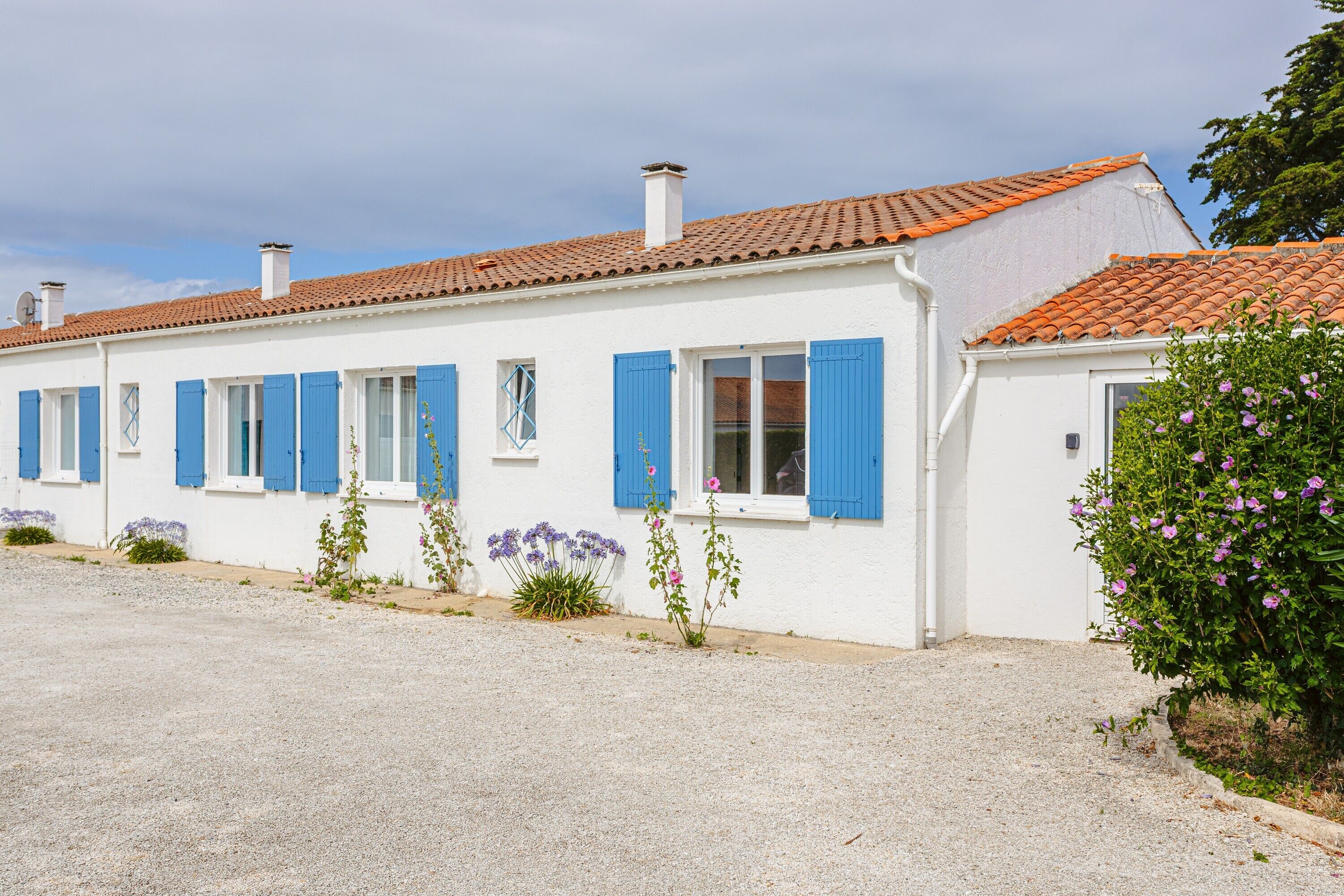 A white building with blue shutters, a gravel driveway, and a garden with purple flowers.
