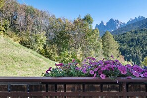 Property grounds - Room 'Veltierhof 1' with Mountain View, Private Terrace and Wi-Fi (Funes)