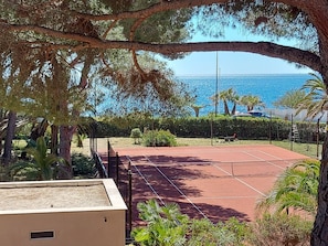 Terrain de sport