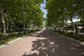 Unclassified image, 3 of 35, button - La Pergola - Double studio with terrace (Castelló de la Plana)