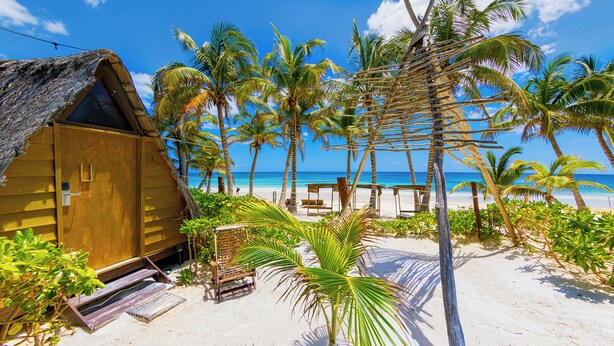 Een houten strandhut met rieten dak, omringd door palmbomen en een zandstrand.