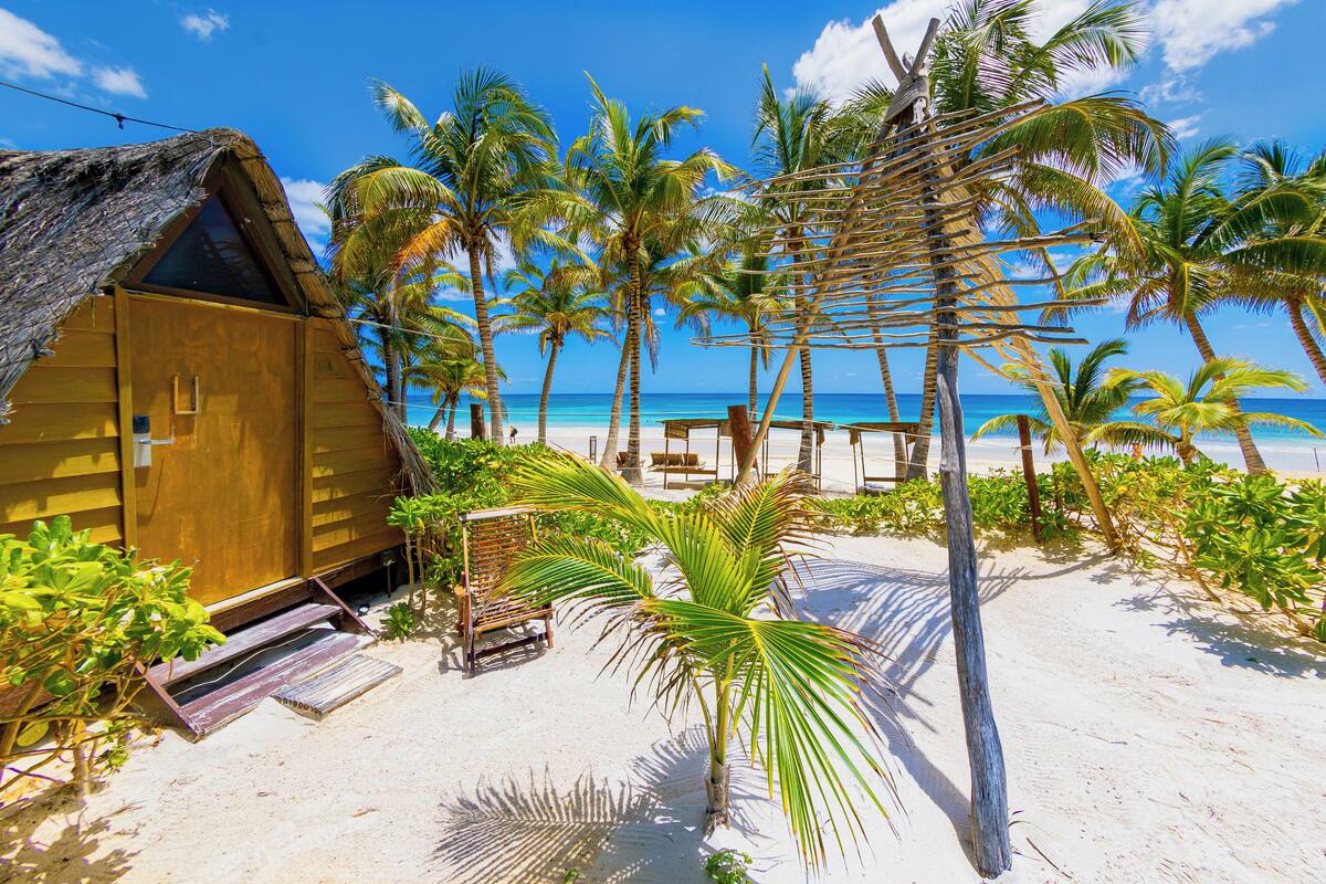 A wooden beach hut with a thatched roof, surrounded by palm trees and a sandy beach.