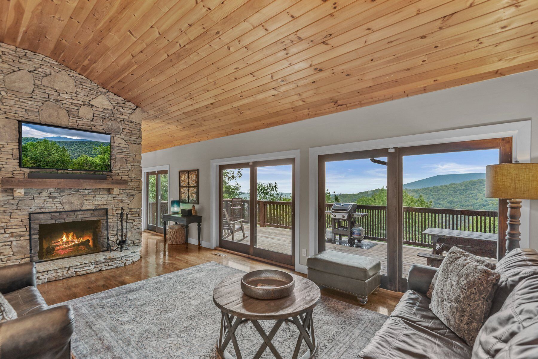 Télévision, cheminée, jeux vidéo