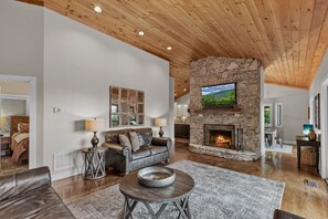 Télévision, cheminée, jeux vidéo