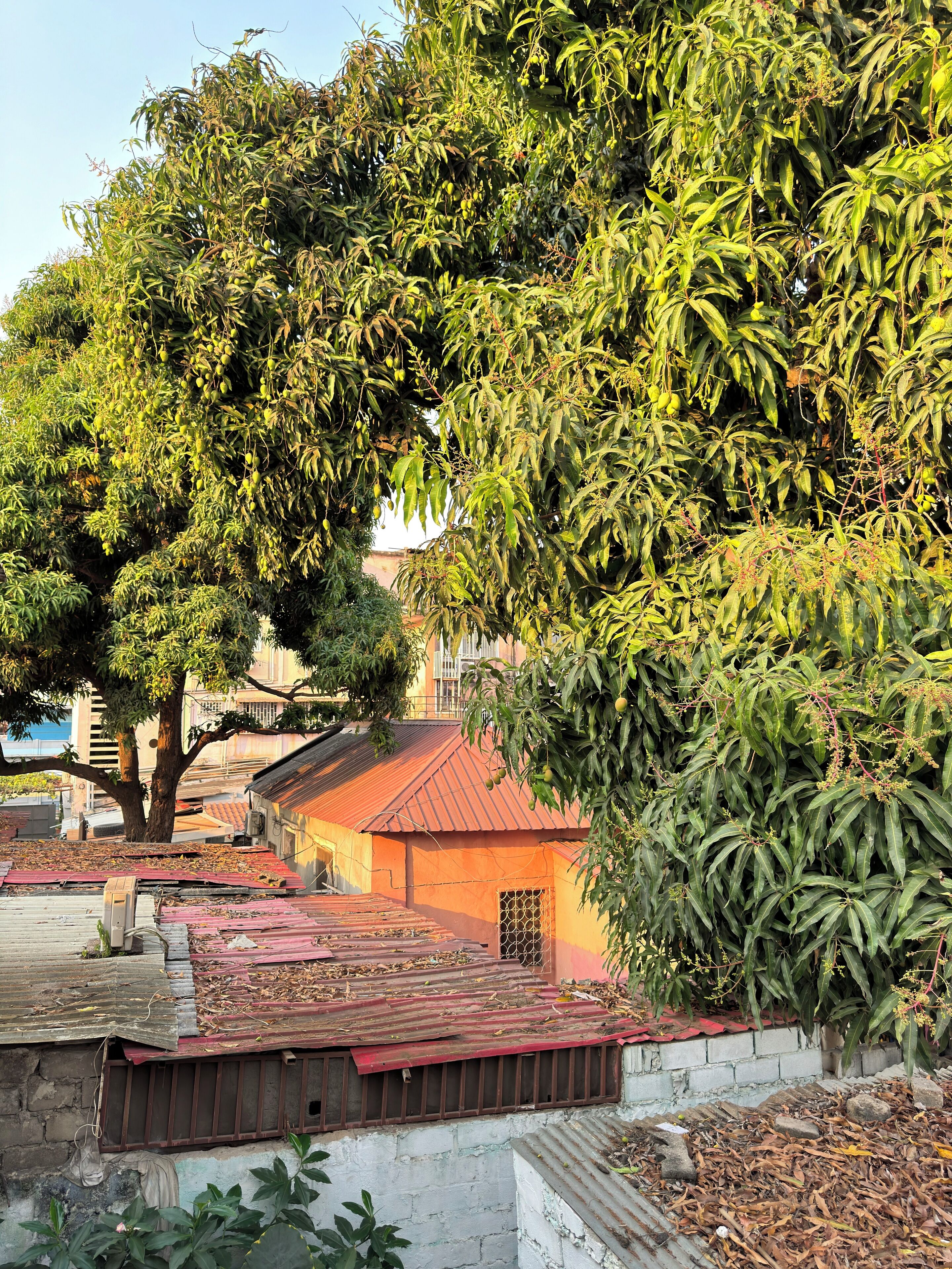 Enceinte de l’hébergement