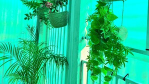 A porch with hanging planters and a railing. - Charming 1BR Apt in the Heart of Maculusso-Free Netflix-High speed wifi (Luanda)